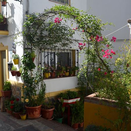Finca El Molino De Aceite Jubrique Zewnętrze zdjęcie
