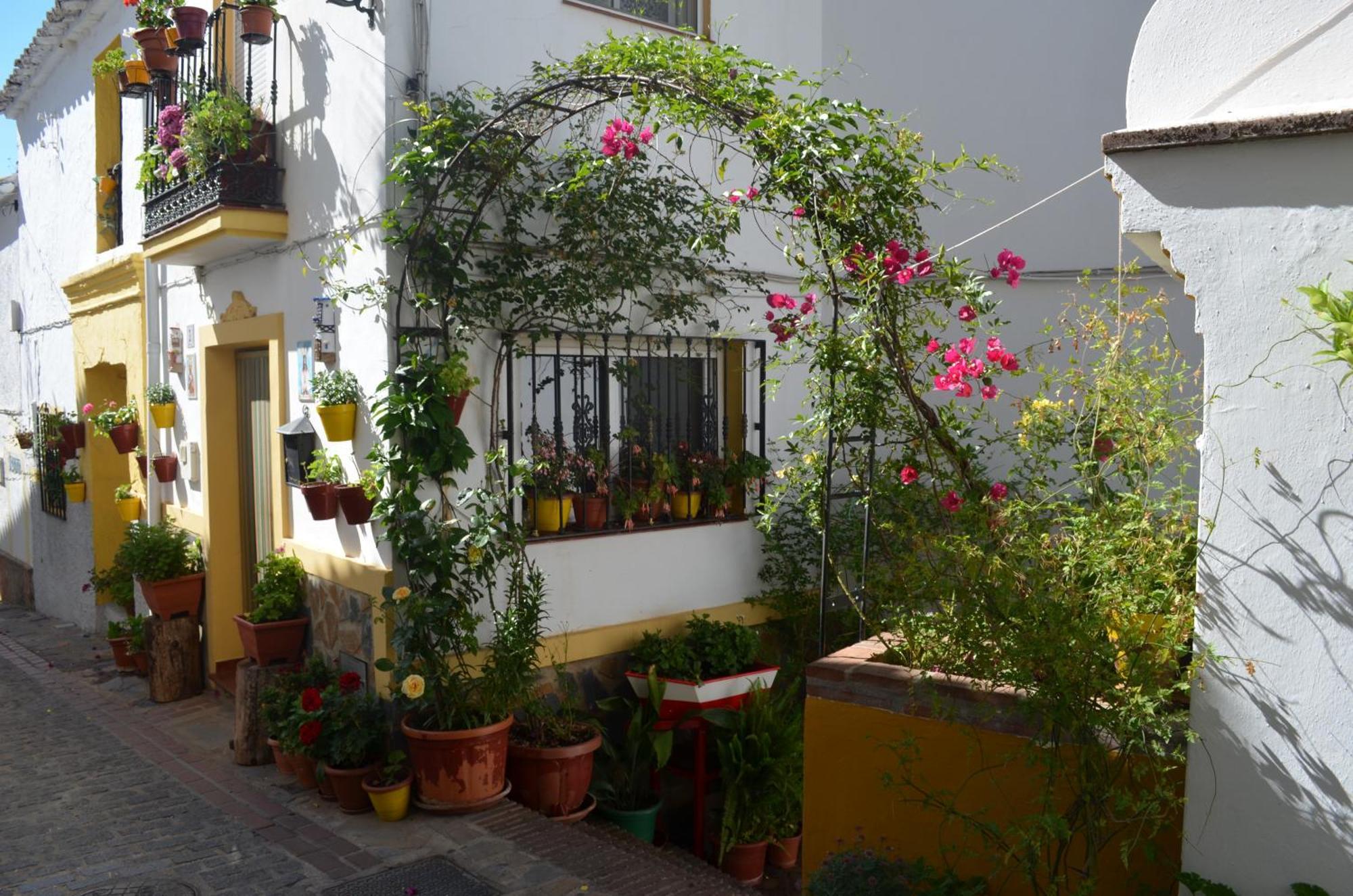 Finca El Molino De Aceite Jubrique Zewnętrze zdjęcie