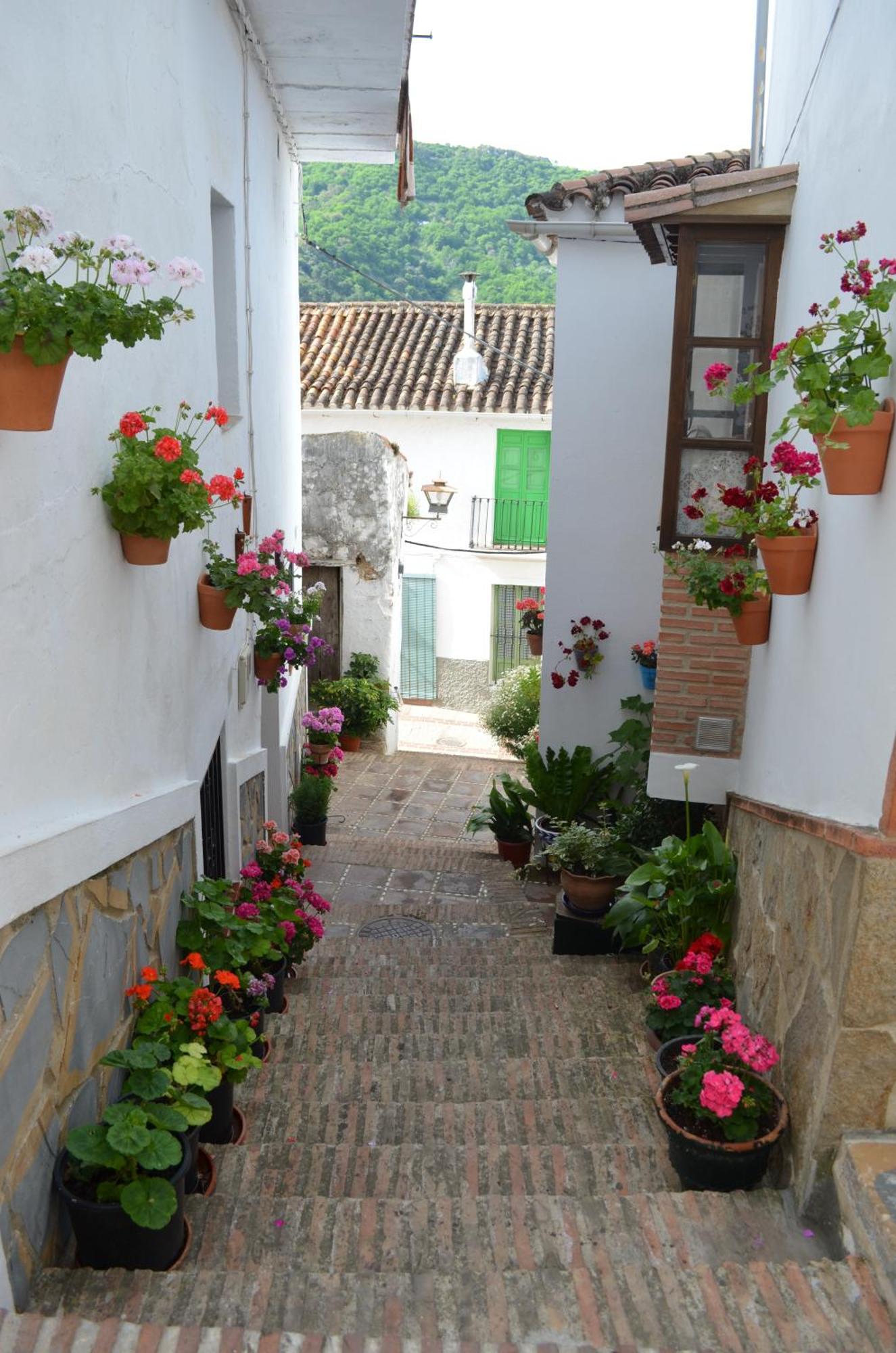 Finca El Molino De Aceite Jubrique Zewnętrze zdjęcie