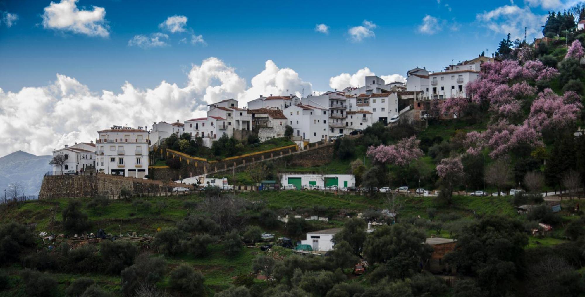 Finca El Molino De Aceite Jubrique Zewnętrze zdjęcie