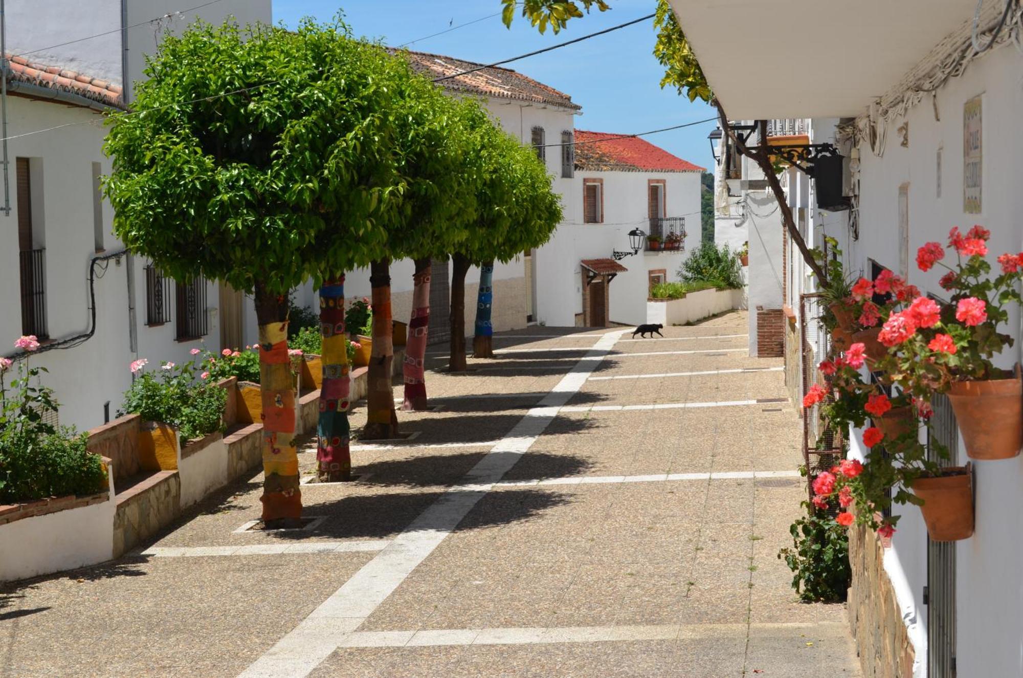 Finca El Molino De Aceite Jubrique Zewnętrze zdjęcie